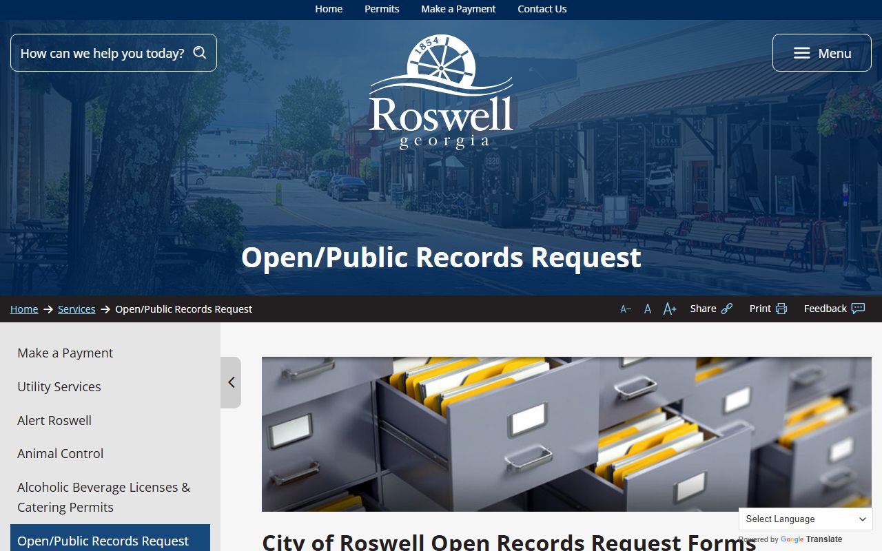 Roswell people search open records request page